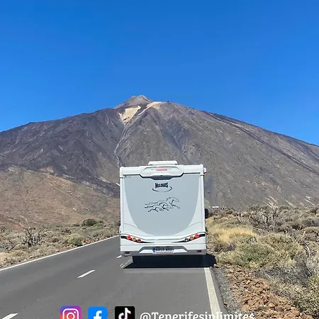 Kemp La Consentida *